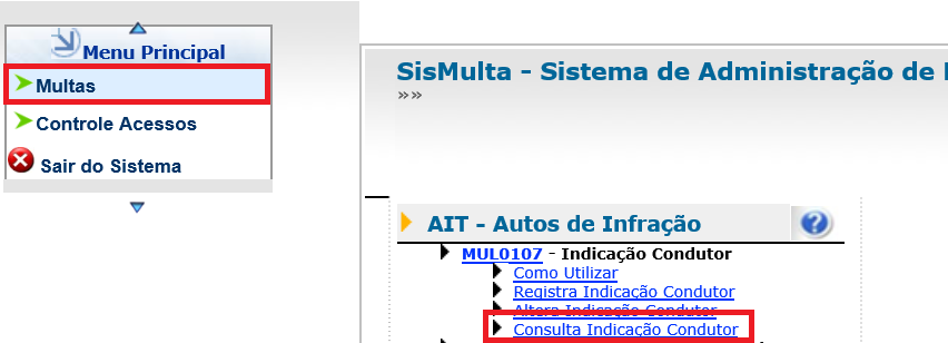 Consulta de Indicação de Condutor